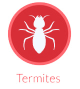 Termites logo