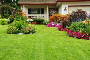 Beautiful Home with a Lush Green Yard & Colorful Floral Landscaping including Flowers, Ferns & Bushes