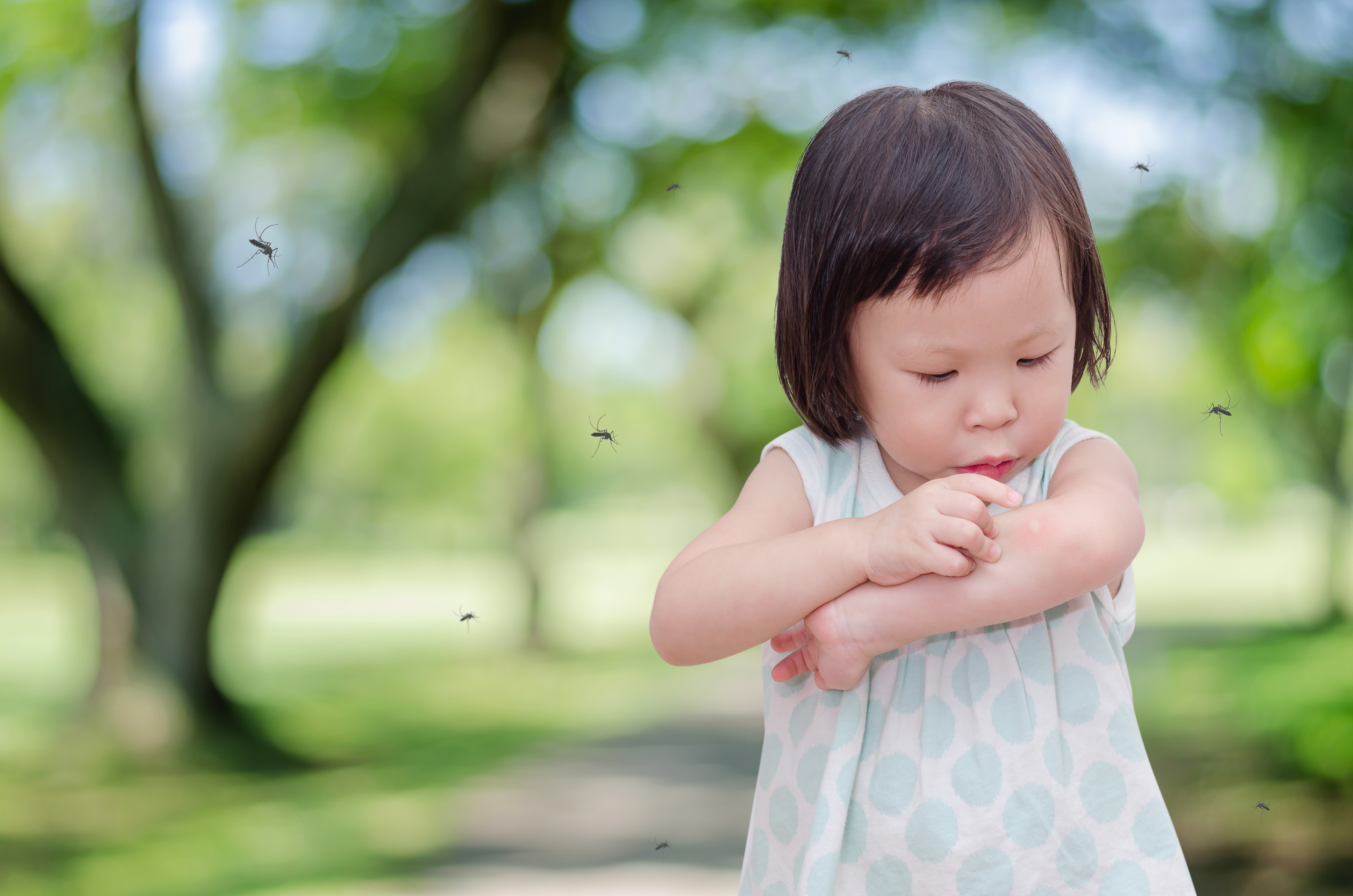 Child itching a mosquito bite in Georgia